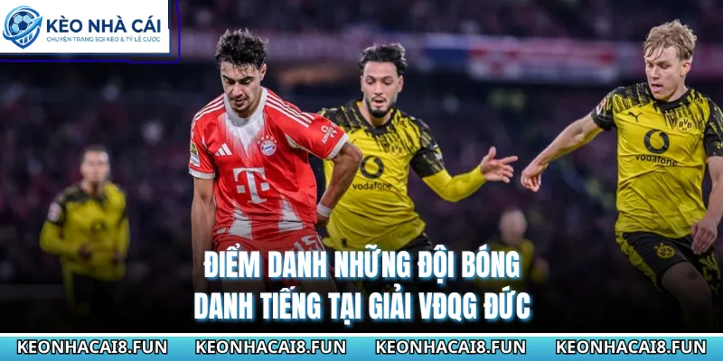Bundesliga 96 Điểm danh những đội bóng danh tiếng tại giải VĐQG Đức