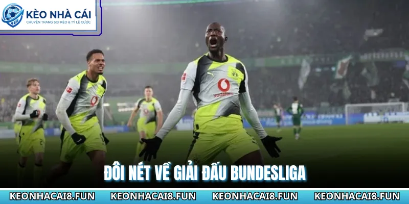 Bundesliga 95 Đôi nét về giải đấu Bundesliga