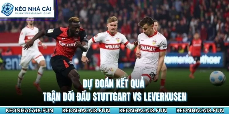 Dự đoán kết quả trận đối đầu Stuttgart vs Leverkusen