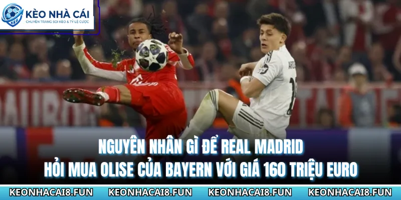 Real Madrid Hỏi Mua Olise Của Bayern Với Giá 160 Triệu Euro 1 Nguyên nhân gì để Real Madrid hỏi mua Olise của Bayern với giá 160 triệu Euro