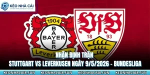 Nhận Định Trận Stuttgart Vs Leverkusen Ngày 9/5/2026 - Bundesliga 5 nhận định trận Stuttgart vs Leverkusen ngày 9/5/2026