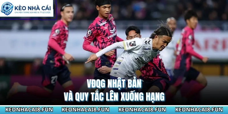 VĐQG Nhật Bản 140 VĐQG Nhật Bản và quy tắc lên xuống hạng