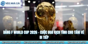 Bảng F World Cup 2026 - Cuộc Đua Kịch Tính Cho Tấm Vé Đi Tiếp 9 Bảng F World Cup 2026