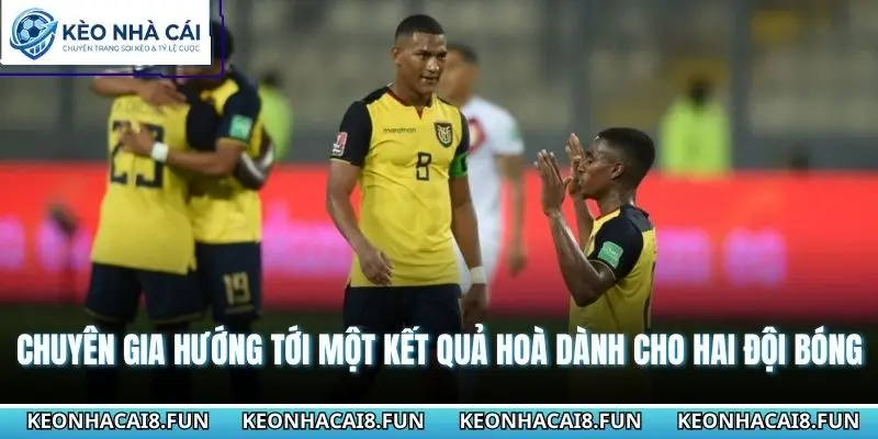Nhận Định World Cup 2026 Bờ Biển Ngà Vs Ecuador Chi Tiết 3 Chuyên gia hướng tới một kết quả hoà dành cho hai đội bóng