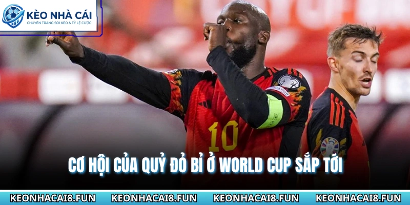 Đội Hình Đội Tuyển Bỉ World Cup 2026 Sau Lứa Thế Hệ Vàng 3 Cơ hội của Quỷ đỏ Bỉ ở World Cup sắp tới