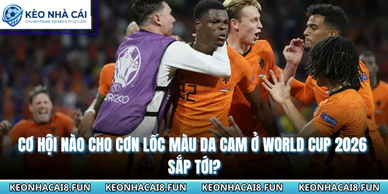 Đội Hình Đội Tuyển Hà Lan World Cup 2026 Đầy Triển Vọng 3 Cơ hội nào cho Cơn lốc màu da cam ở World cup 2026 sắp tới?