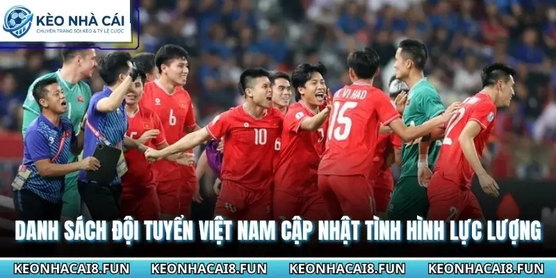 Danh Sách Đội Tuyển Việt Nam Cập Nhật Tình Hình Lực Lượng 2 Danh sách đội tuyển Việt Nam