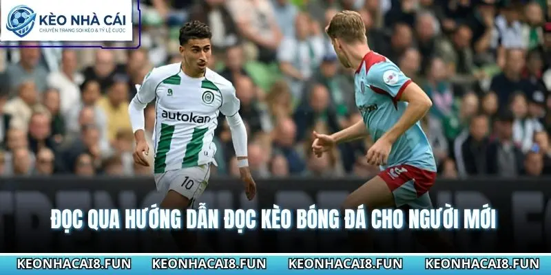 Hướng Dẫn Đọc Kèo Bóng Đá Cho Người Mới Theo Cách Dễ Hiểu 1 Đọc qua hướng dẫn đọc kèo bóng đá cho người mới