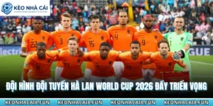 Đội Hình Đội Tuyển Hà Lan World Cup 2026 Đầy Triển Vọng 12 Đội hình đội tuyển Hà Lan World cup 2026