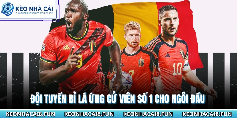 Bảng G World Cup 2026 - Quỷ Đỏ Và Những Ẩn Số Khó Đoán 2 Đội tuyển Bỉ lá ứng cử viên số 1 cho ngôi đầu