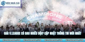 Giải V.League Có Bao Nhiêu Đội? Cập Nhật Thông Tin Mới Nhất 5 Giải V.League có bao nhiêu đội
