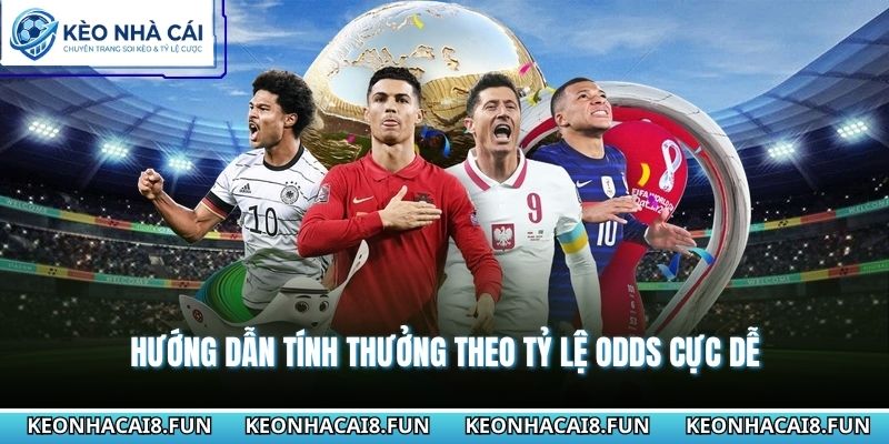 Cách Tính Tiền Kèo Châu Âu 1X2 Chuẩn Xác Theo Từng Tỷ Lệ 2 Hướng dẫn tính thưởng theo tỷ lệ Odds cực dễ