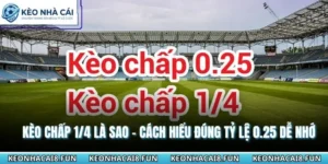 Kèo chấp 1/4 là sao