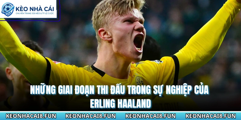 Những giai đoạn thi đấu trong sự nghiệp của Erling Haaland