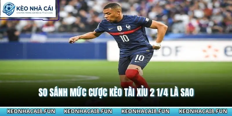 Kèo Tài Xỉu 2 1/4 Là Sao - Cách Đọc Kèo Chuẩn Nhất 2026 3 So sánh mức cược kèo tài xỉu 2 1/4 là sao