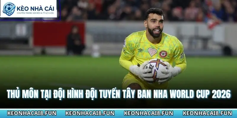 Đội Hình Đội Tuyển Tây Ban Nha World Cup 2026 Quan Trọng 2 Thủ môn tại đội hình đội tuyển Tây Ban Nha World Cup 2026