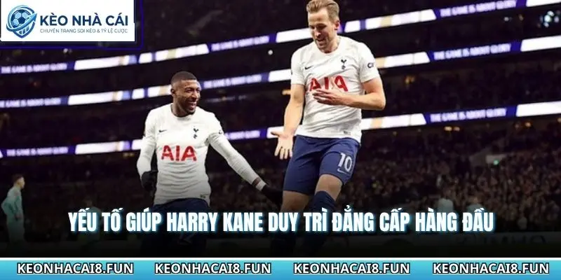 Tiểu Sử Harry Kane - Hành Trình Chinh Phục Đỉnh Cao Bóng Đá 3 Yếu tố giúp Harry Kane duy trì đẳng cấp hàng đầu