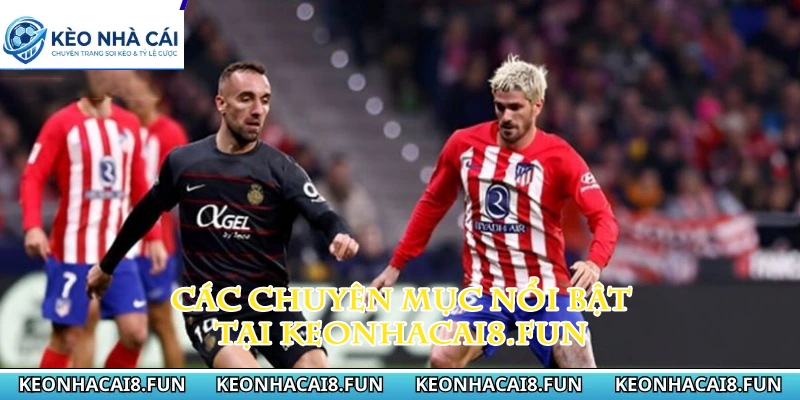 Kèo nhà cái 176 Các chuyên mục nổi bật tại keonhacai