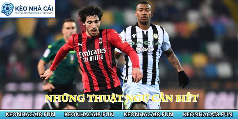 Kèo nhà cái 177 Những thuật ngữ cần biết